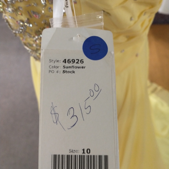 Tiffany's prom dress - Picture 8 of 8